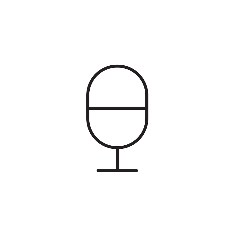 Microphone Icon 113222