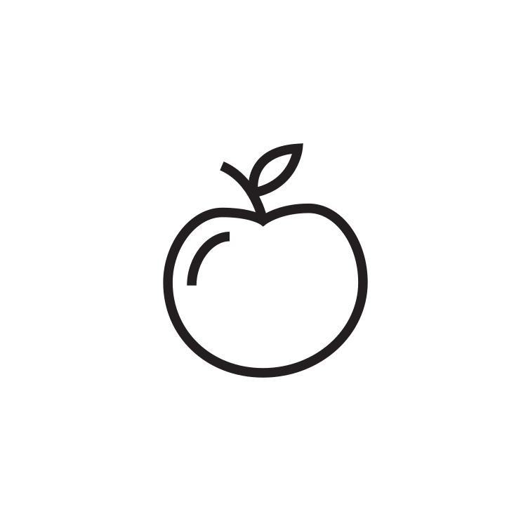 Apple Icon 95295