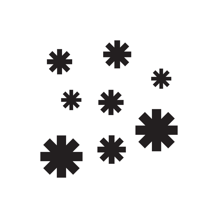 Snowflake Icon 13567
