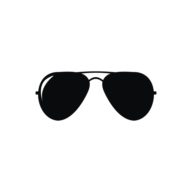 Sunglasses Icon 1399
