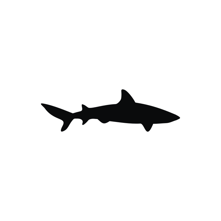 Shark Icon 1491