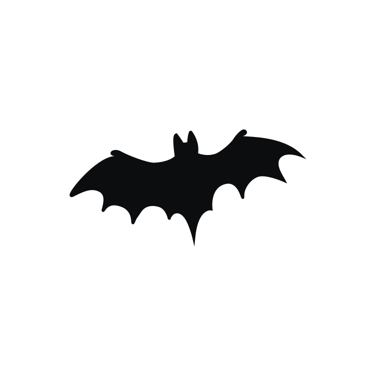 Bat Icon 20237