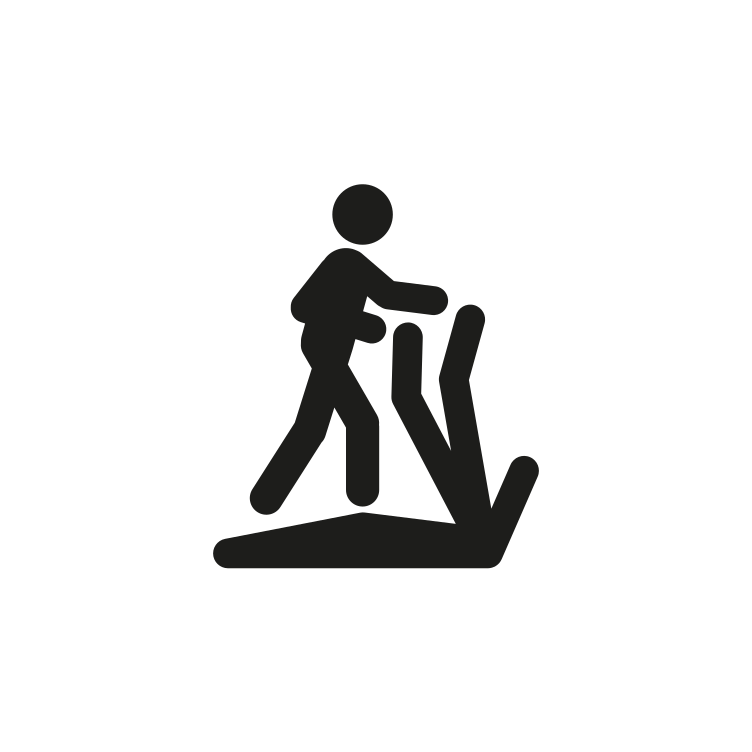 Icon elliptical hot sale