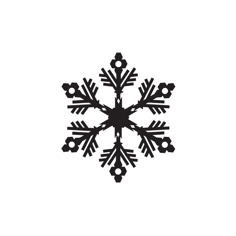 Snowflake Icon 273563