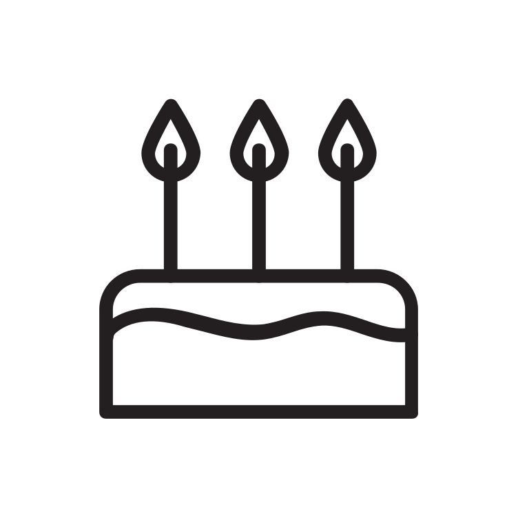 Birthday Cake Icon 314938