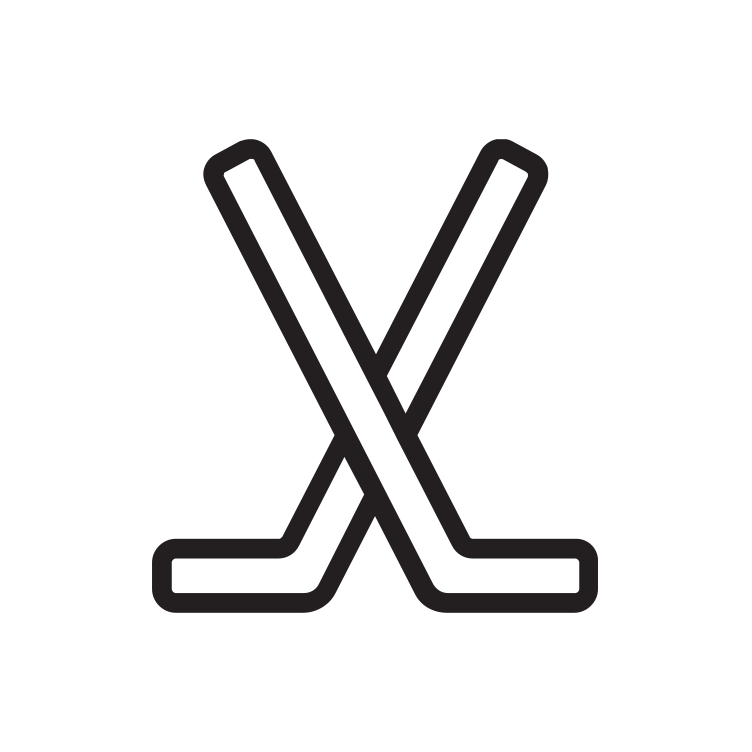 ice hockey Icon 750134