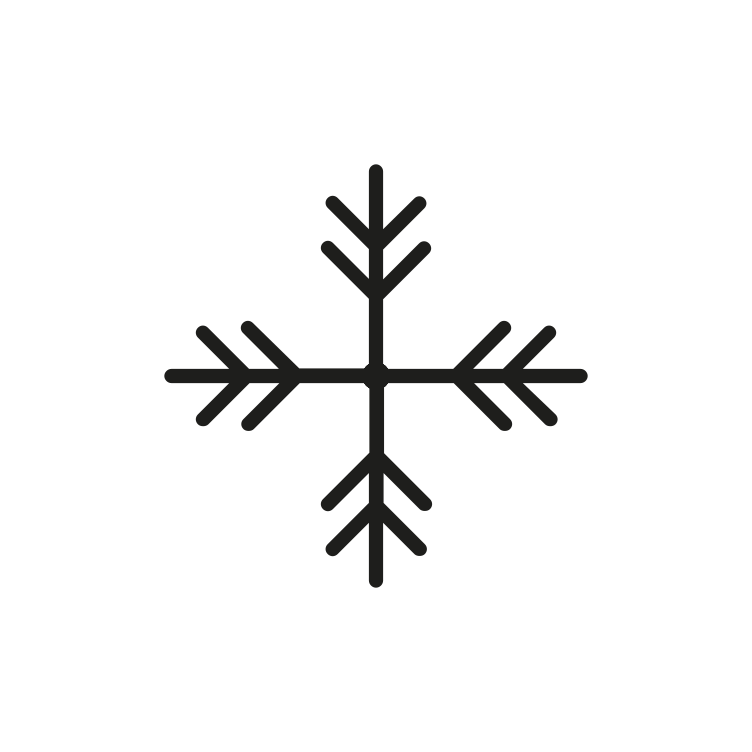 Snowflake Icon 750959
