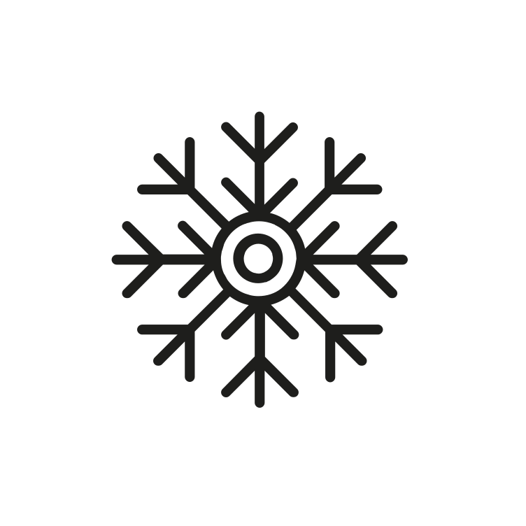 Snowflake Icon 750963