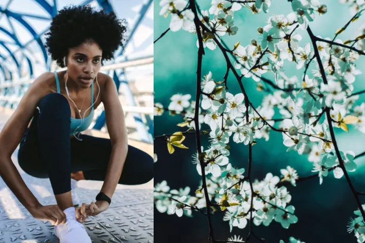 Free Stock Photos