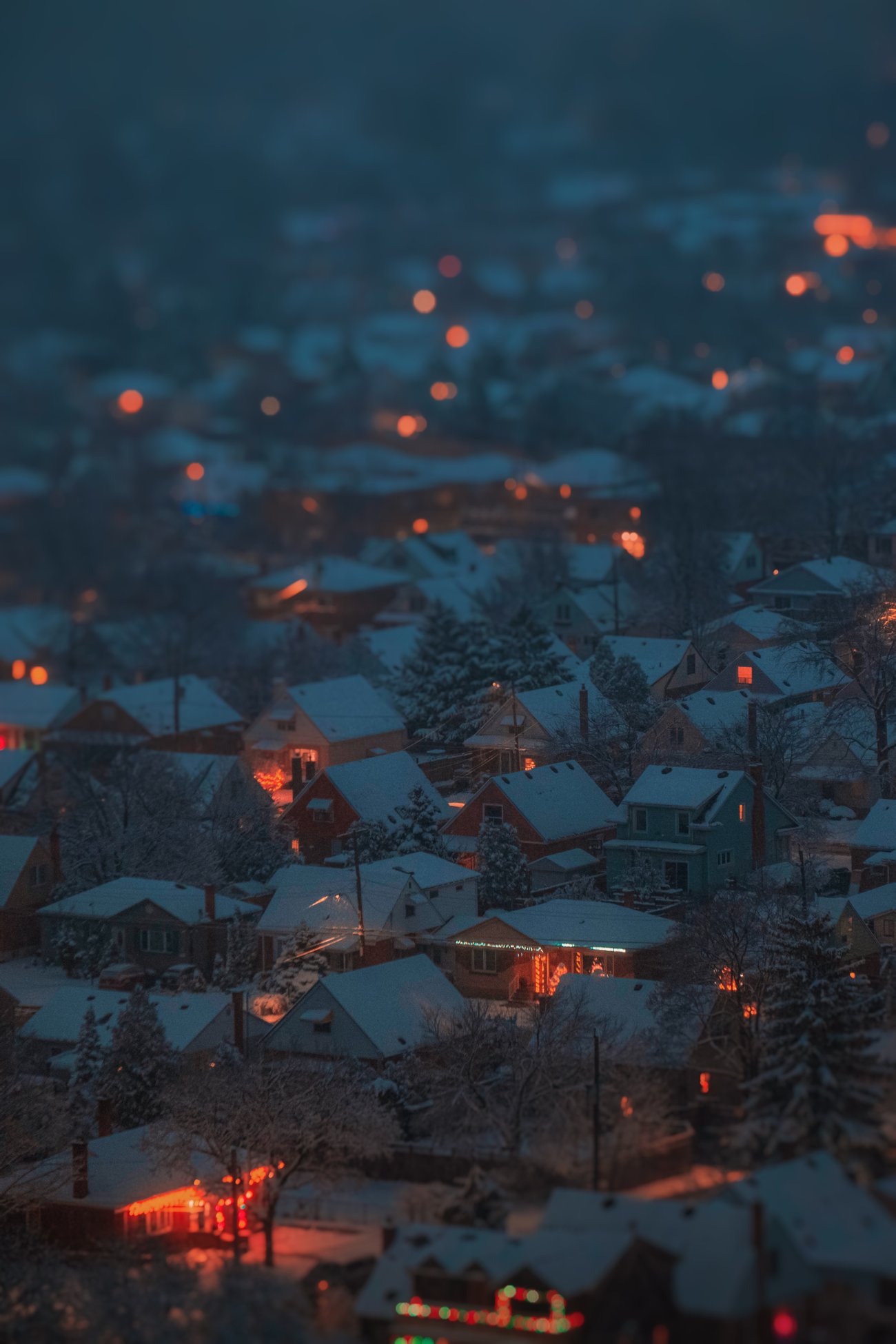 Snowy trees and roofs of neighborhood houses at night with several lit up in Christmas lights