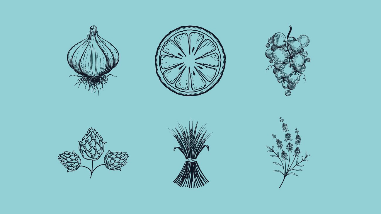Icons and illustrations from Ben's Noun Project profile