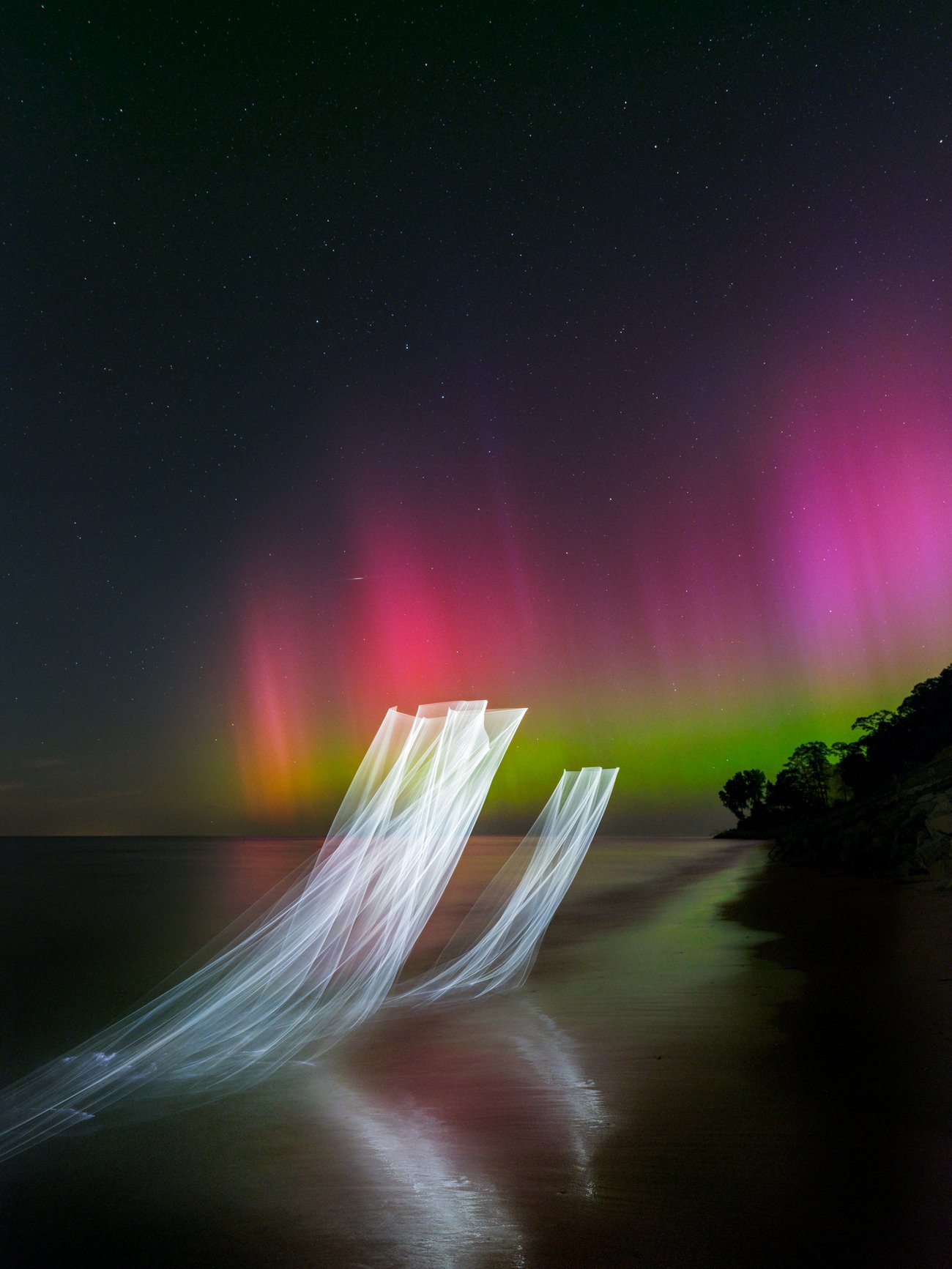 Multiple threads of thin light giving the effect of two white translucent curtains above a dark shoreline with pink and green Northern Lights in the background