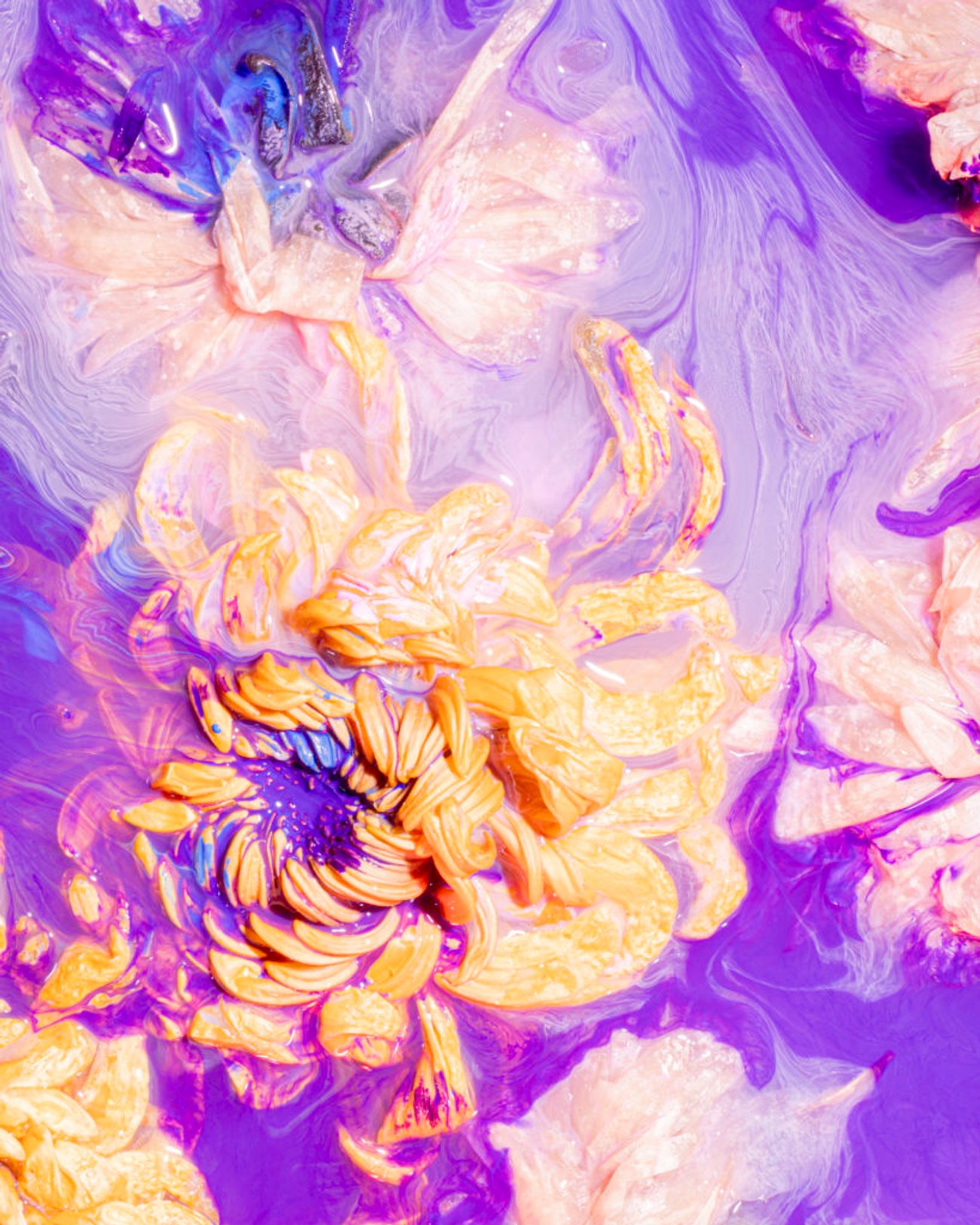 Orange and pink flowers submerged in purple paint