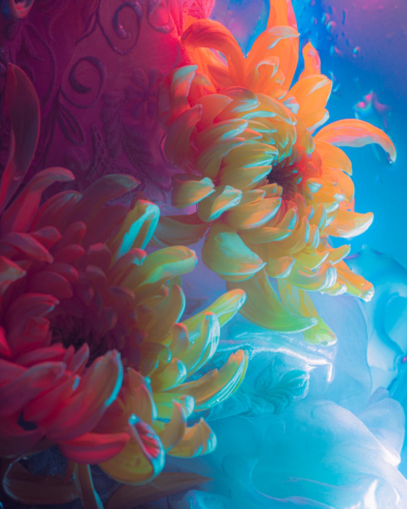 Yellow orange flower petal against pink and blue fabric background
