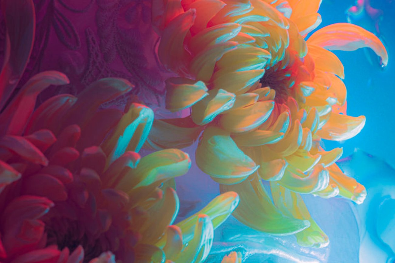 Yellow orange flower petal against pink and blue fabric background