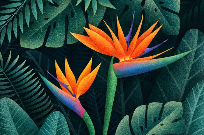 Anna Krestovskaya illustration and brand design work preview