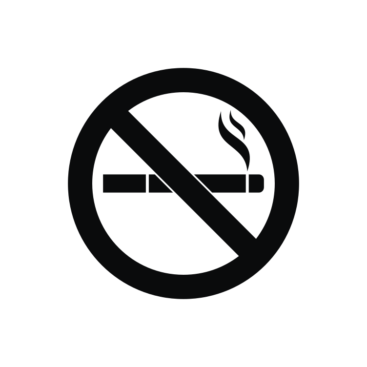 No Smoking Icon 20437